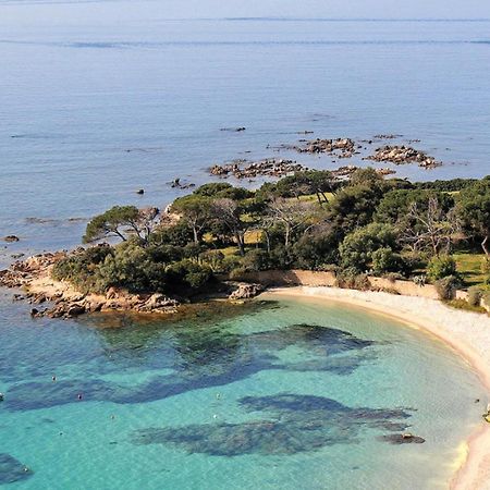 Studio Rue Pietonne Ajaccio Ajaccio  Exteriör bild