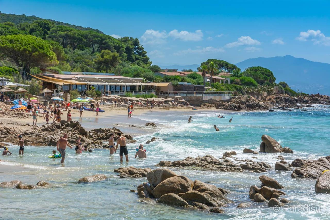Studio Rue Pietonne Ajaccio Ajaccio  Exteriör bild